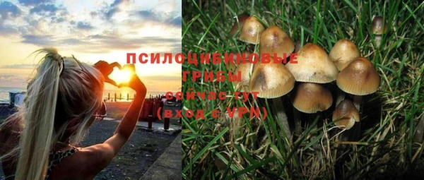 кокс Алексеевка