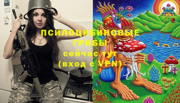 героин Алексин