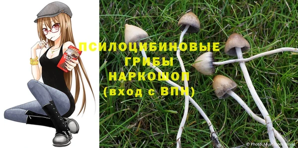 героин Алексин