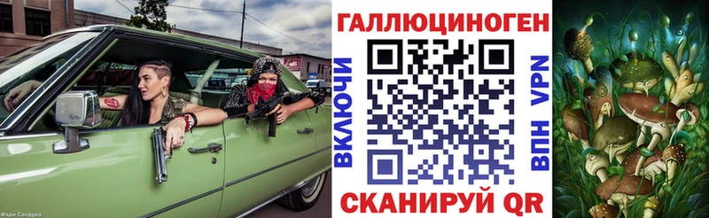 Псилоцибиновые грибы Psilocybine cubensis  МЕГА как войти  Александровское 